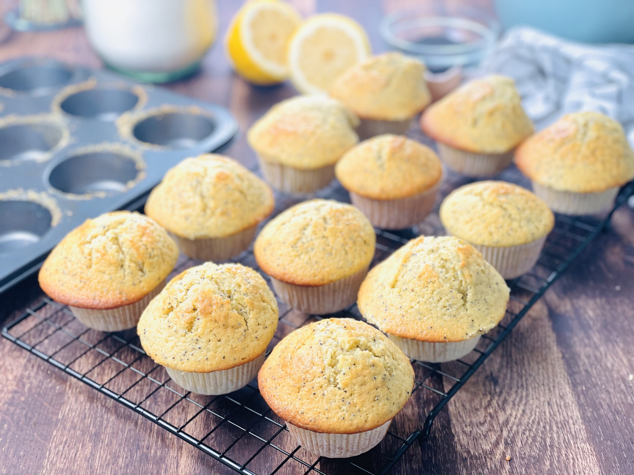 Fertige Zitronen-Mohn Sauerteig Muffins. 