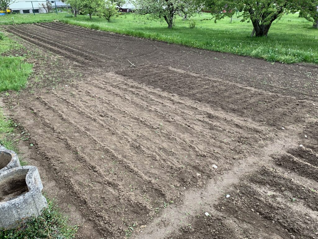 Neue Beete auf einem Feld