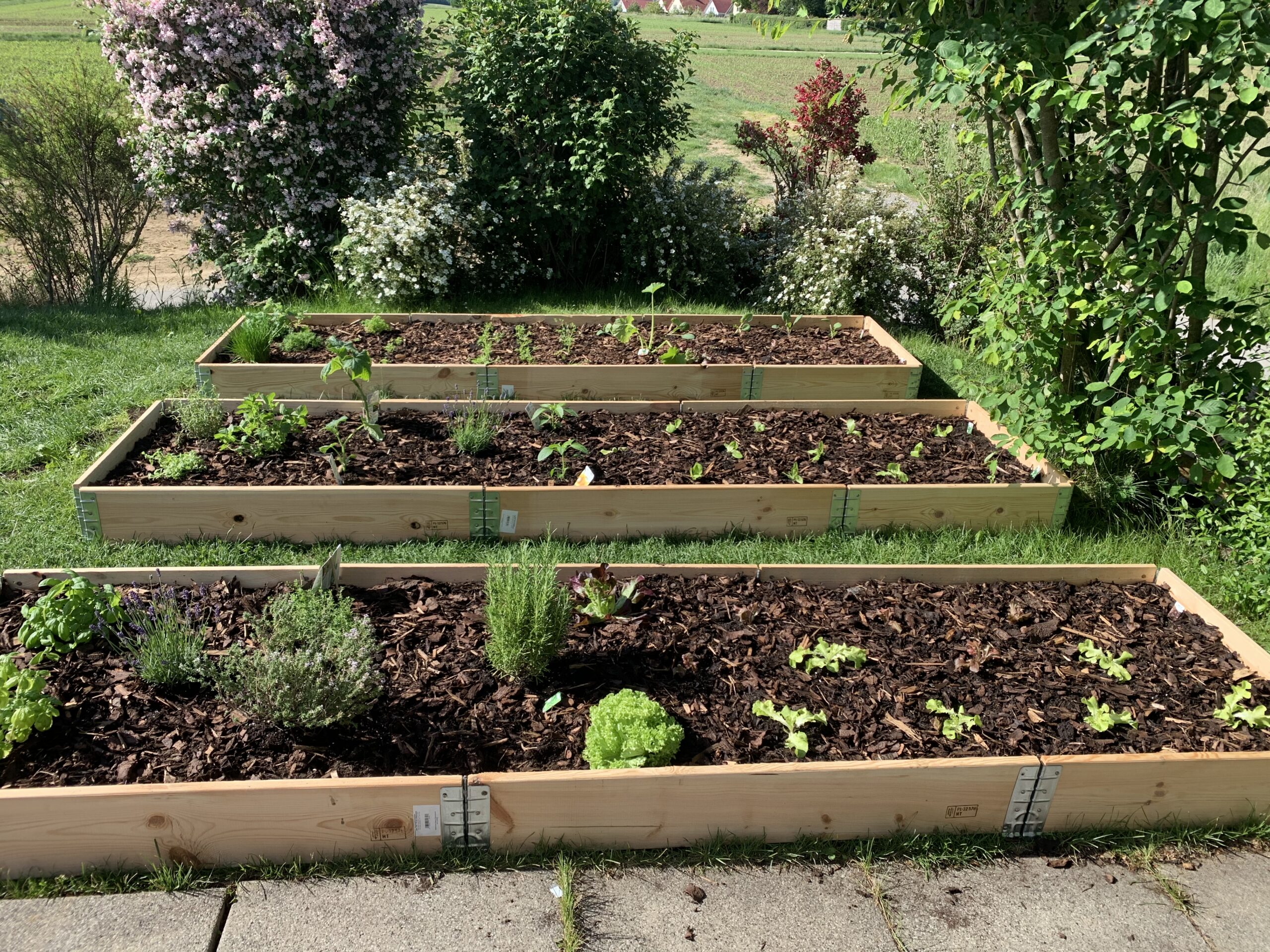 Neue Beete im Garten anlegen