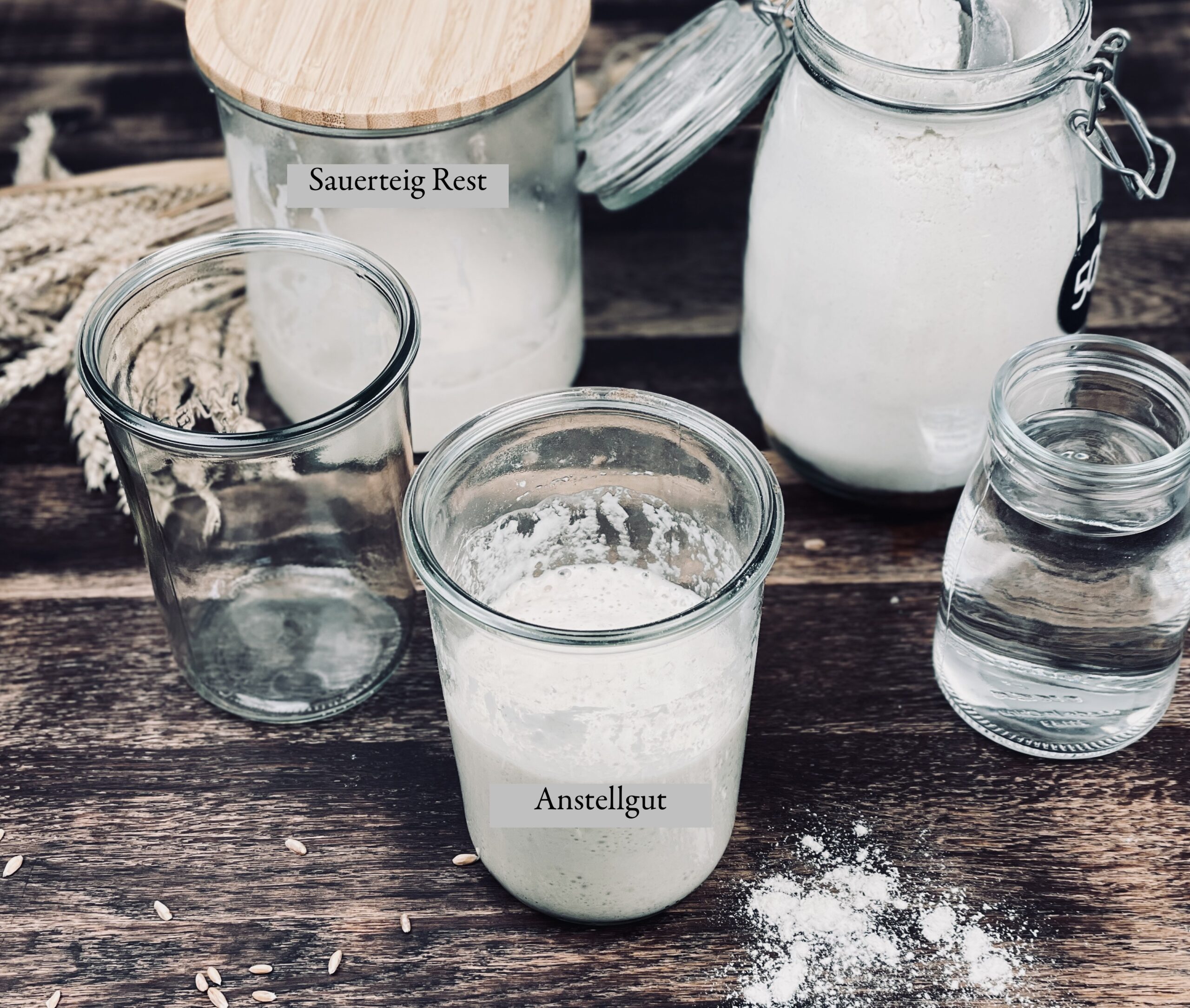 FAQ Sauerteig Anstellgut