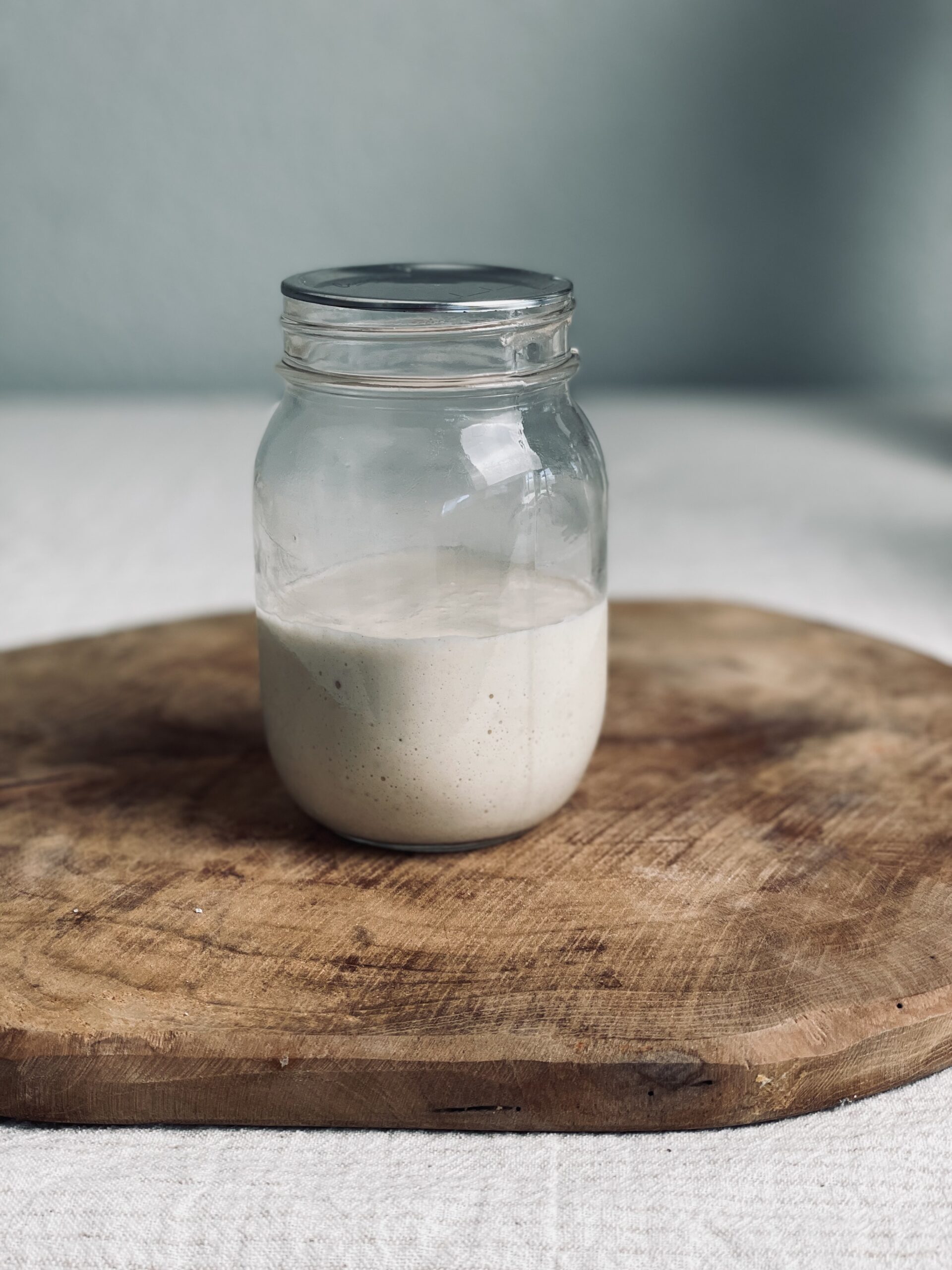 Frisch gefüttertes Sauerteig Anstellgut