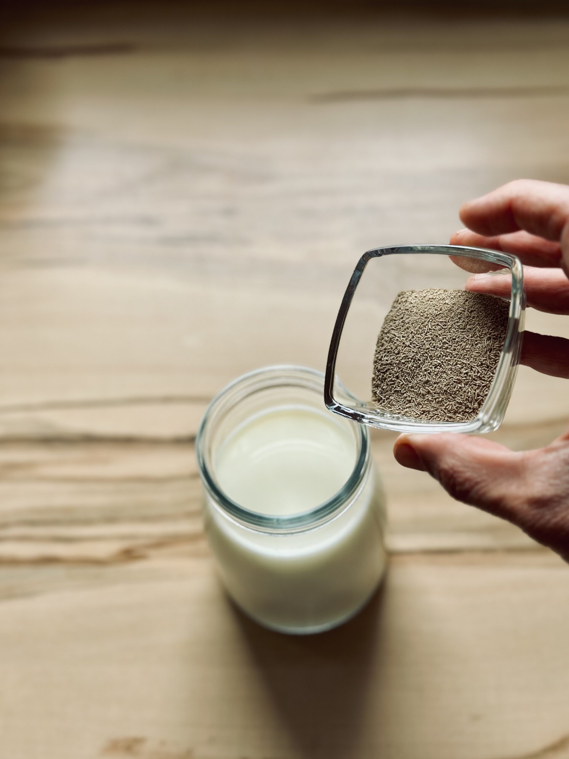 Hefe in Milch/Wasser geben