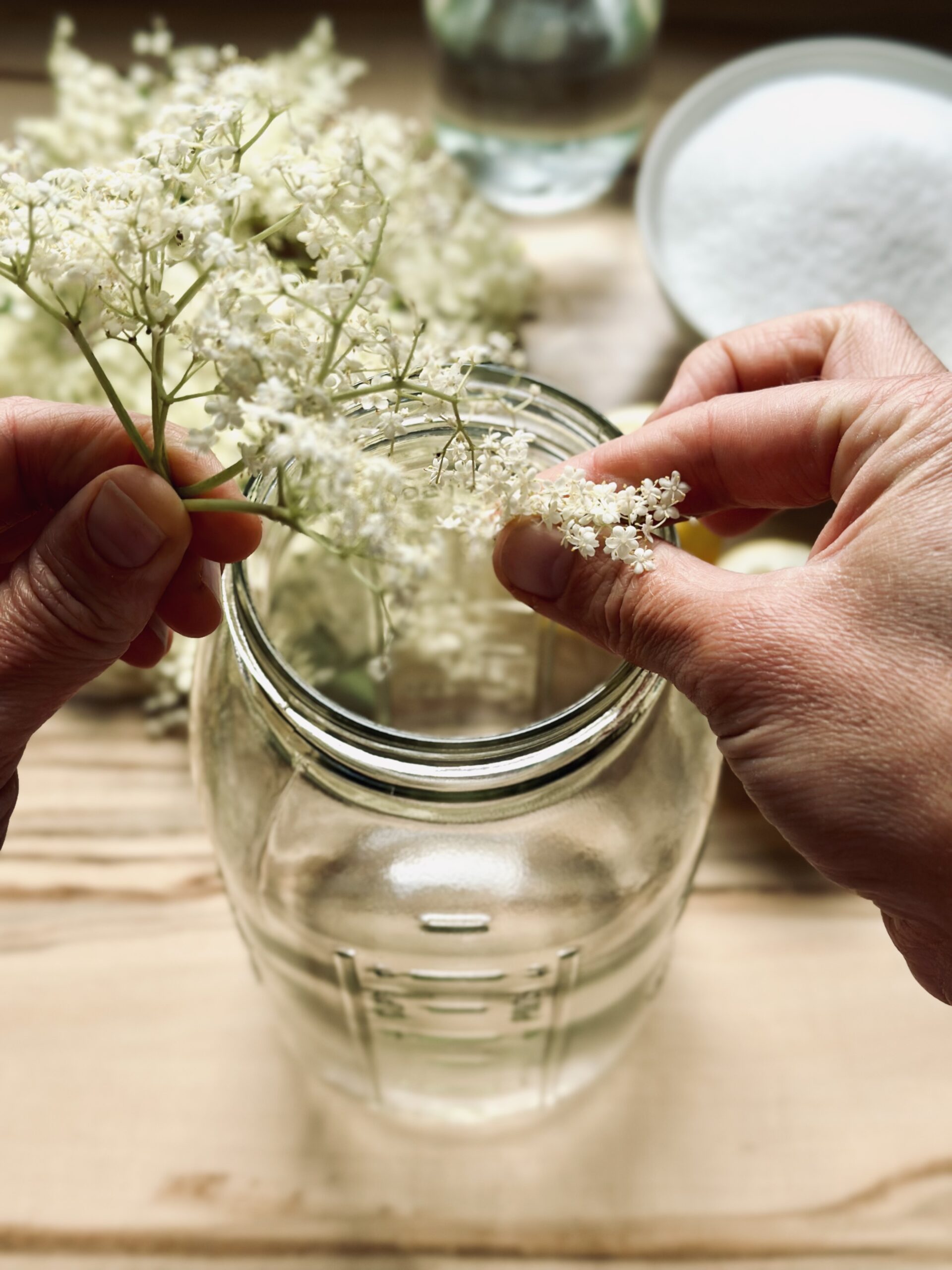 Blüten von den großen Stängel abtrennen