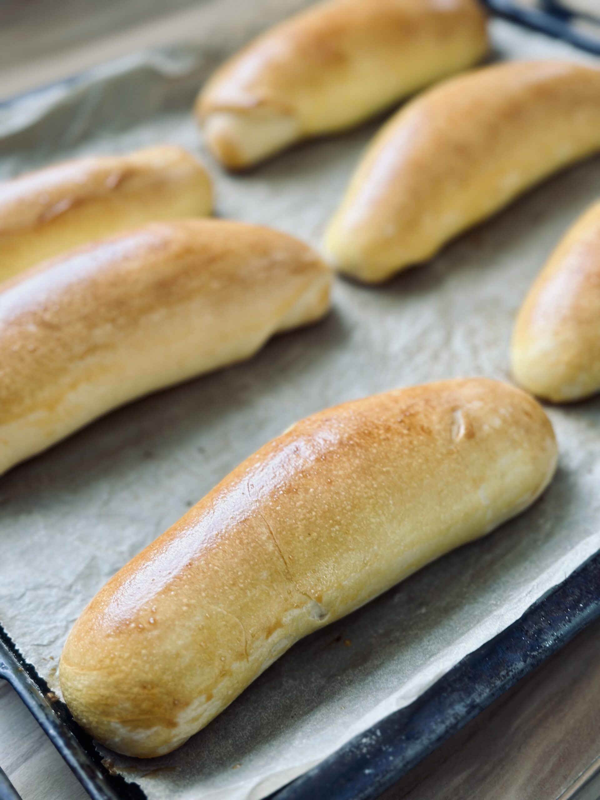 Fertig gebackene Sauerteig Hot Dog Brötchen