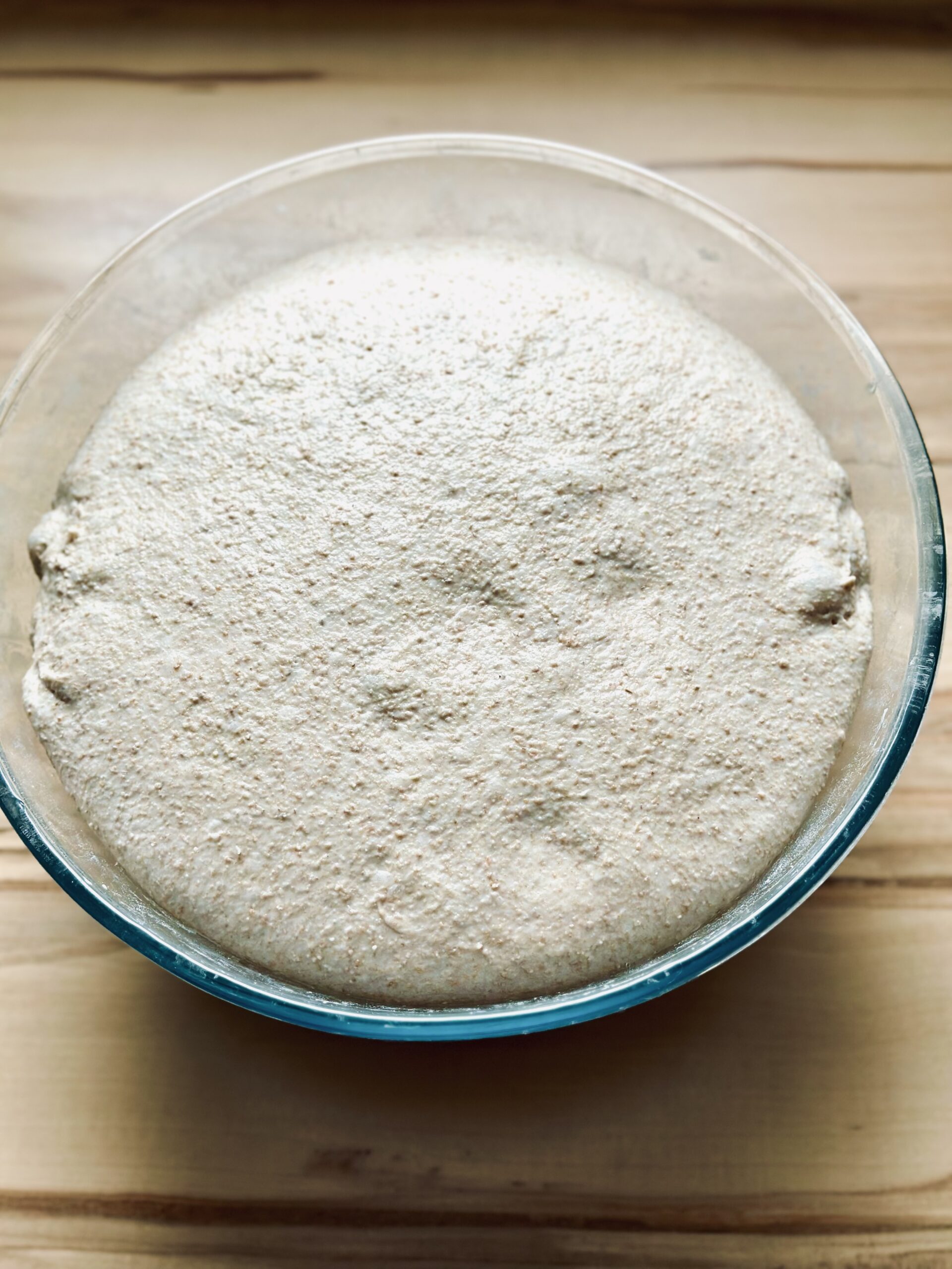 Aufgegangener Teig für Sauerteig Vollkornmischbrot