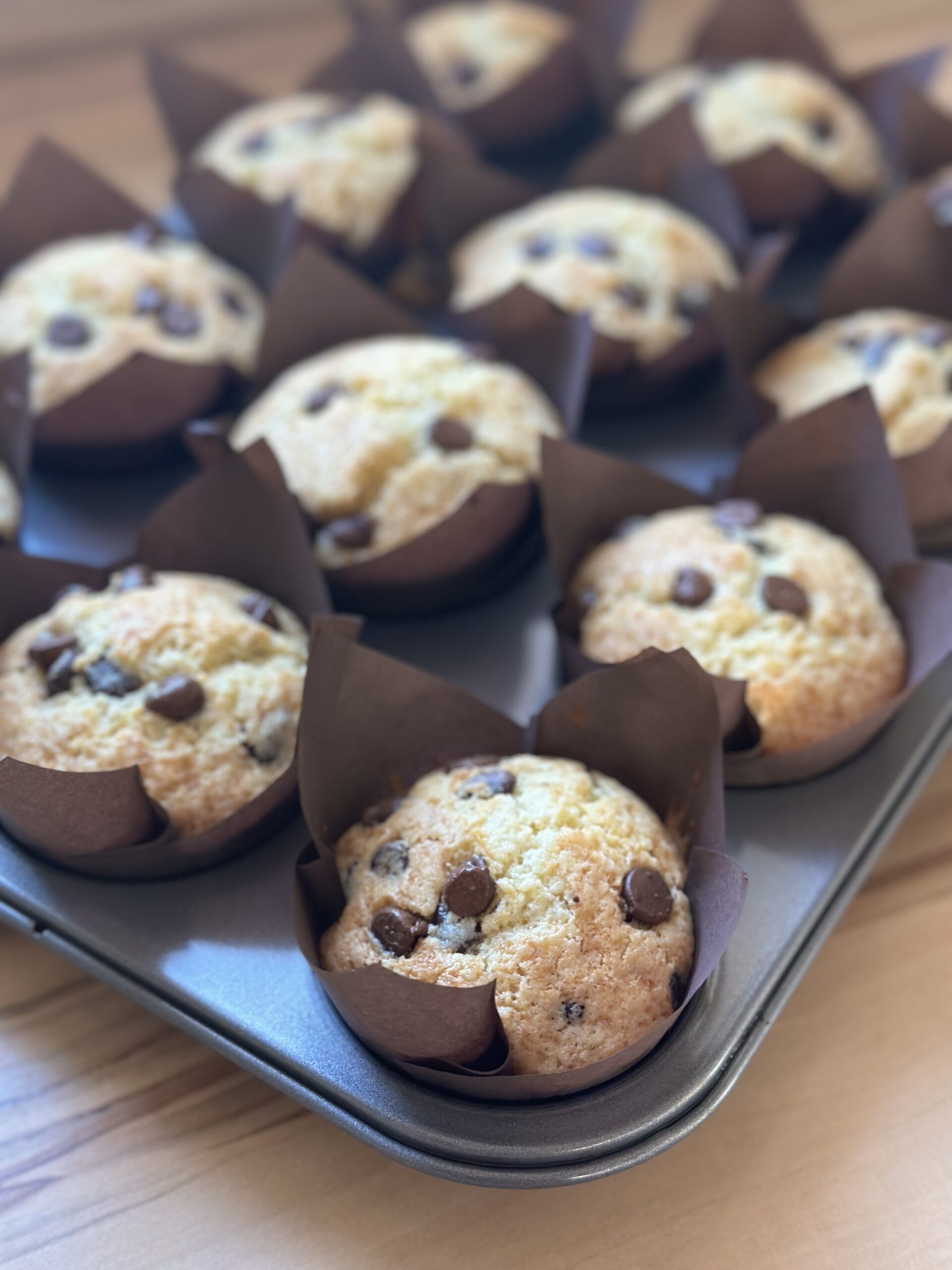 Gebackene Sauerteig Schokostückchen Muffins