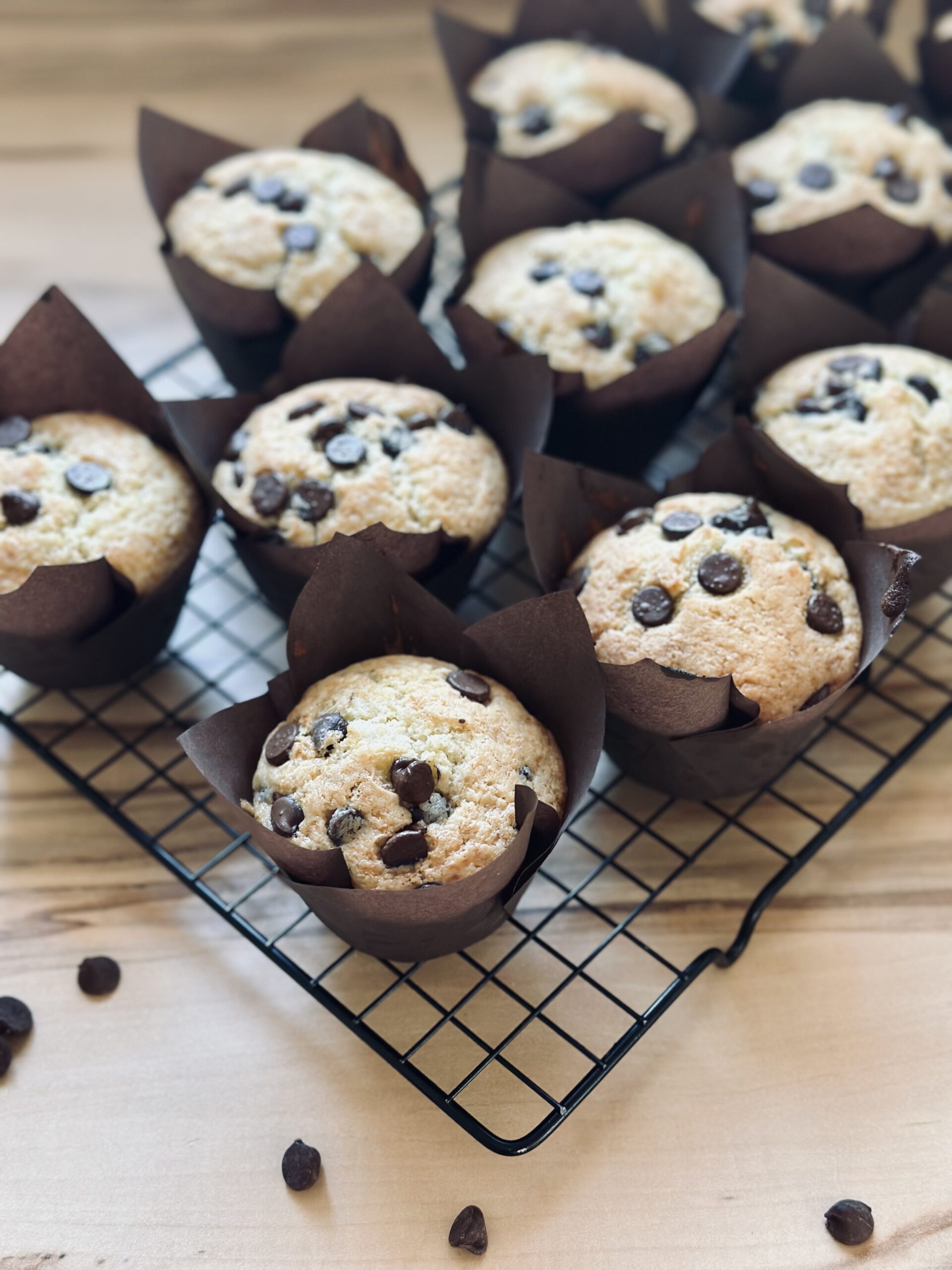 Familienfavorit - Chocolate Chip Muffins mit Sauerteig