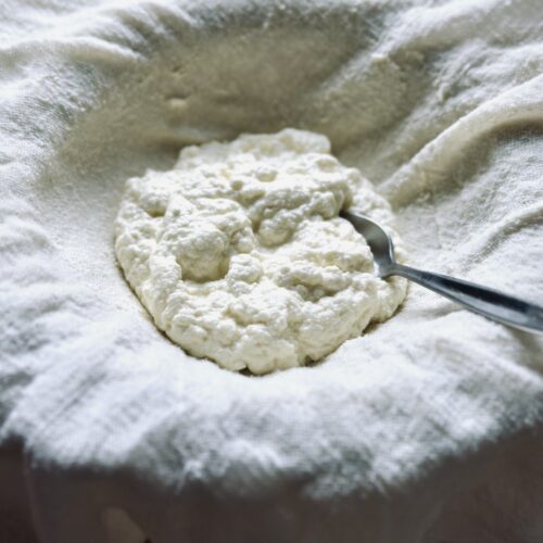 Selbstgemachter Ricotta