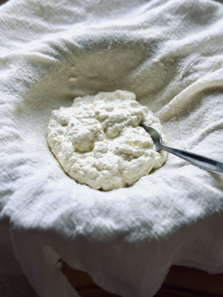 Selbstgemachter Ricotta