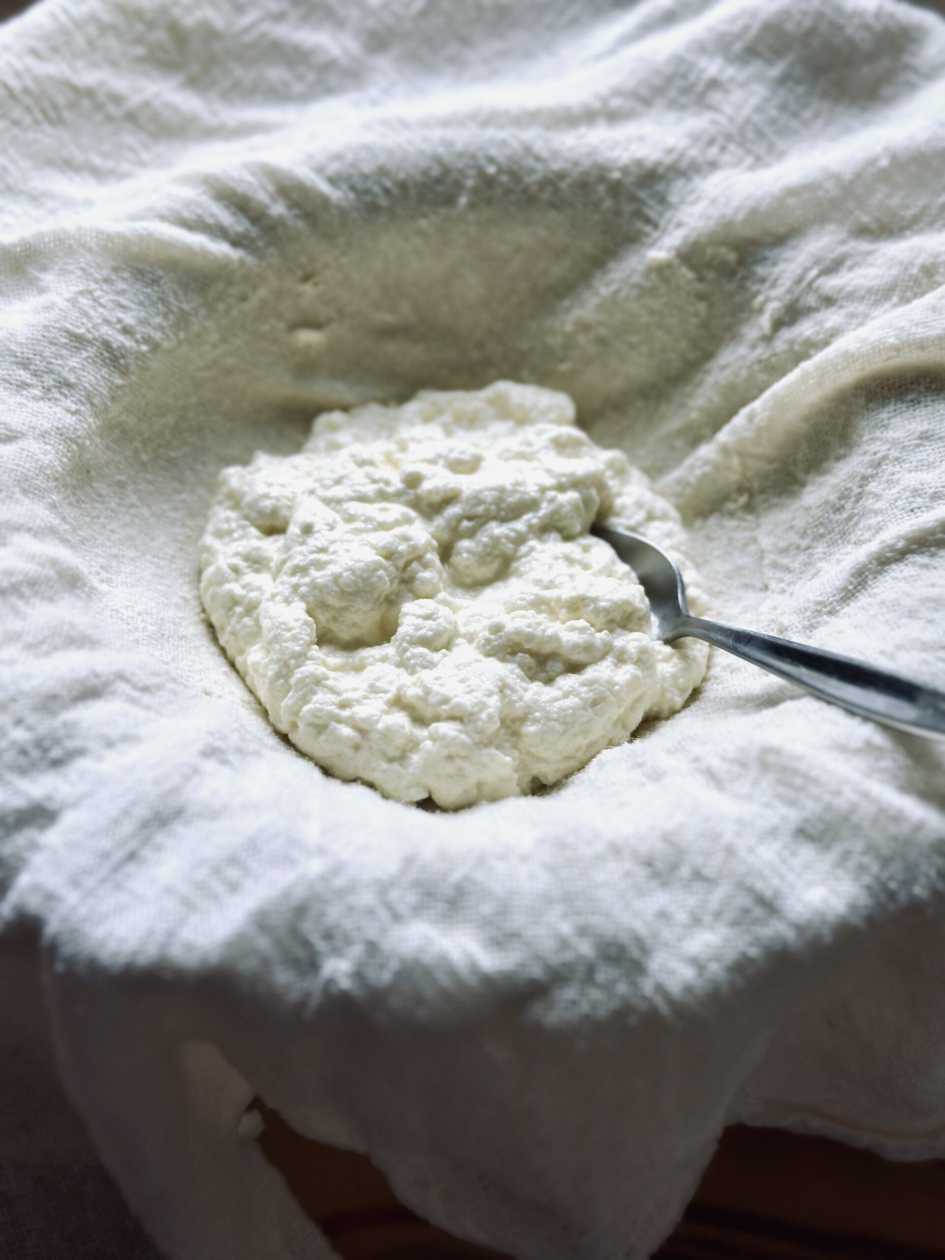 Selbstgemachter Ricotta